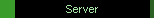 Server